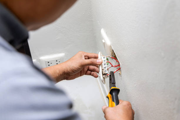 Best Electric Panel Repair  in Selma, NC